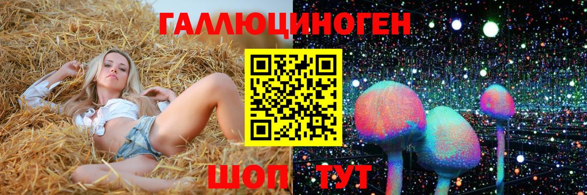 Псилоцибиновые грибы мухоморы  Вход с VPN  Феодосия  Псилоцибиновые грибы Psilocybine cubensis 
